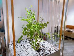 -喜茶(广州保利中环店)