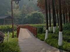 -重庆彩云湖湿地公园