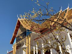 -报恩禅寺