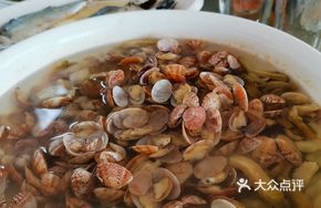 Wild Small Clams