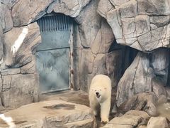 -西安曲江海洋极地公园