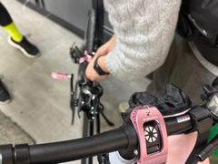 -DAHON大行折叠自行车(松江旗舰店)