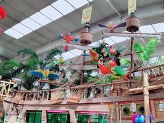 -南宫五洲植物乐园