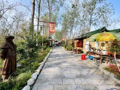 -合肥滨湖国家森林公园