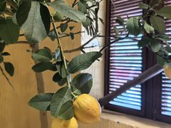 -萤火虫咖啡(后海店)