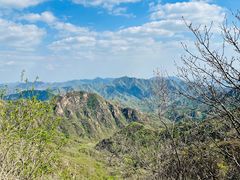 -大岭沟猕猴桃谷风景区