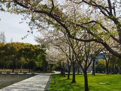 -中共上海市委党校 上海行政学院