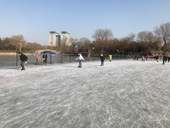 -紫竹院公园冰场