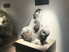-中国地质博物馆
