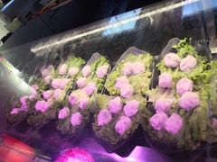 -食潮汕头鲜牛馆(望京保利店)
