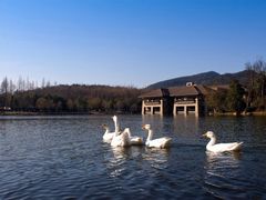 -良渚君澜度假酒店·中餐厅