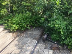 -三鹰之森吉卜力美术馆