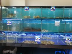 水产区-南海渔家•海鲜•正宗海南菜(海棠湾店)