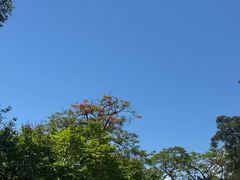 -屯门公园