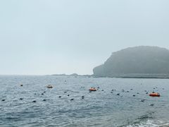 -棒棰岛宾馆景区