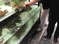 -盒马鲜生(新都心店)