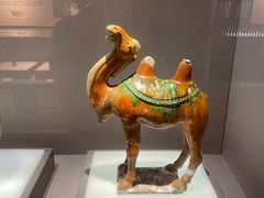 -景德镇中国陶瓷博物馆