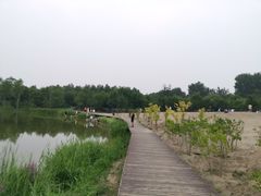 -东郊湿地公园