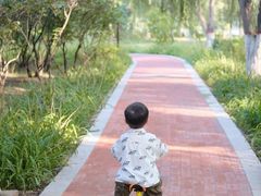 -稚马儿童平衡车自行车俱乐部