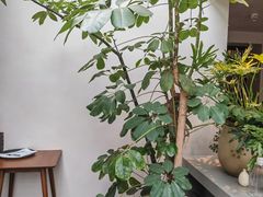 -自如ZSPACE四合院艺术餐厅