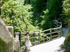 -少华山国家森林公园