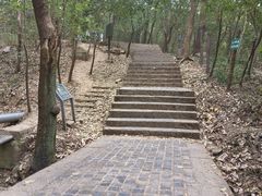 -紫金山山顶公园