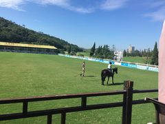 -平湖九龙山庄园圣马可酒店