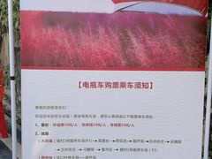 -光明小镇欢乐田园