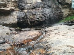 -鲁山国家森林公园