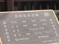 -晋祠公园