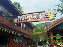 -野象谷景区