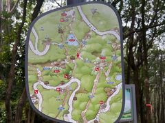 -火炉山森林公园