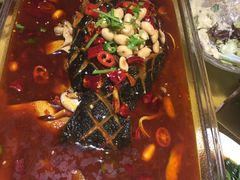 -素虎小呆鸟(西二旗店)