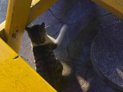 -上海玛雅海滩水公园