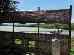 -华侨城湿地公园