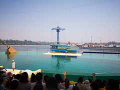 -秦皇岛乐岛海洋王国