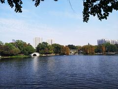 -荔湾湖公园