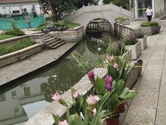 -碧江金楼