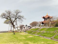 -观潮胜地公园
