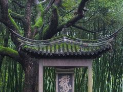 -兰亭风景区