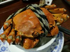 -乡乐园蟹庄·阳澄湖农家乐