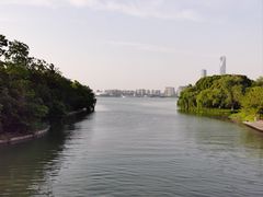 -金鸡湖景区