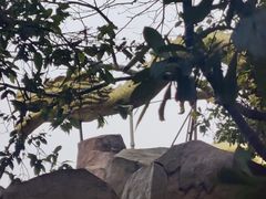 -庐山西海主景区