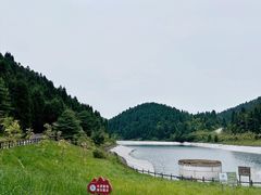 -武陵山森林公园