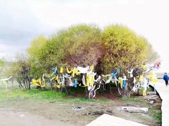 -青海湖国家重点风景名胜区