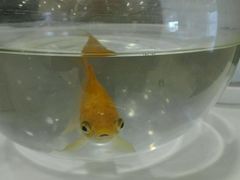 -嘉和一品粥(首经贸店)