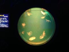 景点-多彩贵州城极地海洋世界