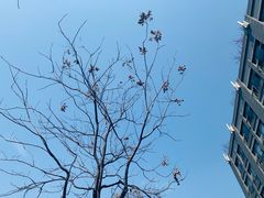 -凤凰山海港乐园