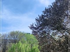 -元大都城垣遗址公园