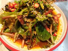 折耳根拌儿菜-红辣椒·川菜·火锅(张杨路店)